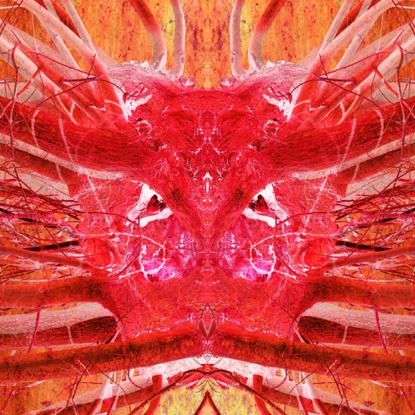 Dance Alone - Single