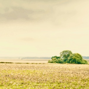 Great Plains