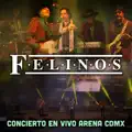 DE TODO MICHOACAN