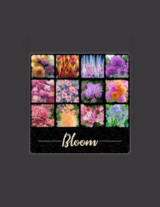 Écoutez Bombastroclaat!, regardez des vidéoclips, lisez la biographie, consultez les dates de tournée et plus encore !