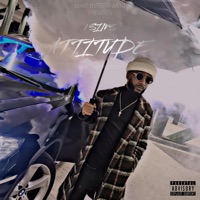 Attitude - Single - V Sims