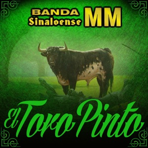 Toro Pinto