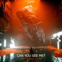 Can You See Me? - Single - Lanz, Kibacs & Ilinx