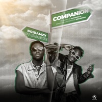 Companion (feat. Blaqdee) - Single - Boidamzy