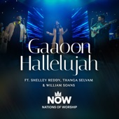 Gaaoon Hallelujah (feat. Shelley Reddy, Thanga Selvam & William Soans) artwork