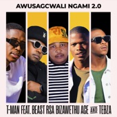 Awusagcwali Ngami 2.0 (feat. Beast Rsa, BizaWethu, ACE & Tebza) artwork