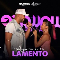 Agora É Só Lamento - Single - Wallace Salles & Anny Love