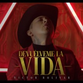 Devuélveme La Vida artwork