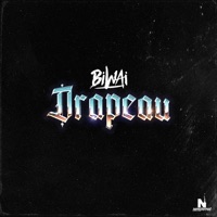 Drapeau - Single - Biwai