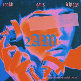 2Am Roakii, Gav$ & D.Higgs
