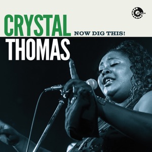 Now Dig This (feat. Lucky Peterson, Chuck Rainey & the Moeller Brothers)