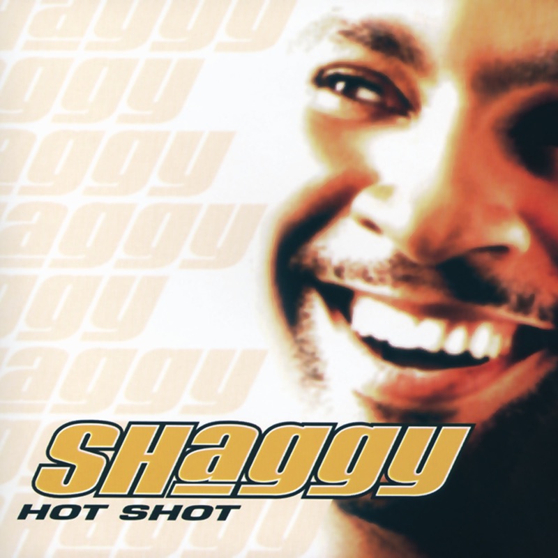 Angel (feat. Rayvon) by Shaggy album cover