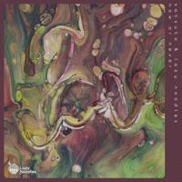 Now or Never - Single - Lazy Noodles & Satsuto