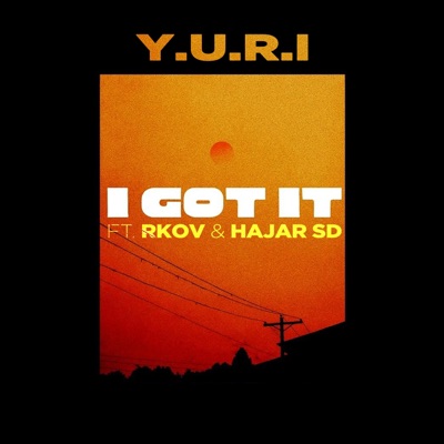 I Got It - Single