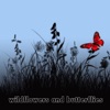 Wildflowers and Butterflies (feat. Chloe Josephine)
