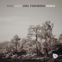 2021 (Joel Forsberg Remix) - Single - Enui