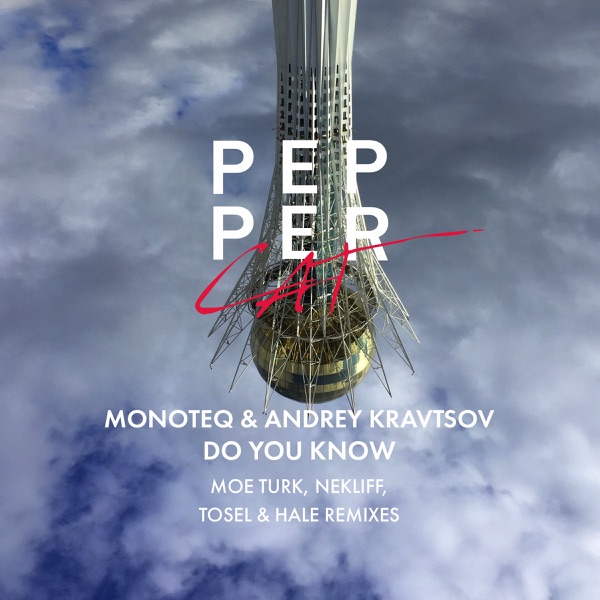 Do You Know - EP