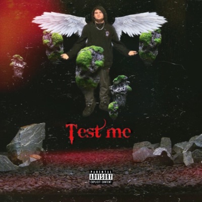 TEST ME (feat. TK) - Single