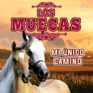 Mi Único Camino - Single