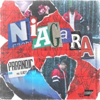 Niagara - Single - Paranoic & Glaceo