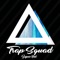 Dirty Audio - Trap Squad lyrics