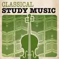 J.S. Bach: Suite No.3 in D, BWV 1068 - 2. Air