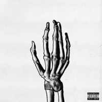 Wrist - Single - Doddy 911