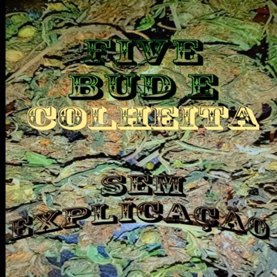 Sem Explicação - Single