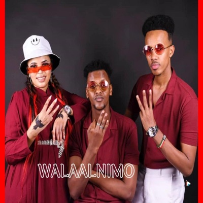Song - Walaalnimo (feat. Ali Zaki & Hibaaq Gobaad) - Gacaliye