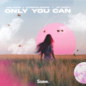 Only You Can artwork