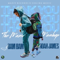 Thank You Mix (Maziv Mashup) (feat. DJ Bam Bam) - Single - Lil Noah James
