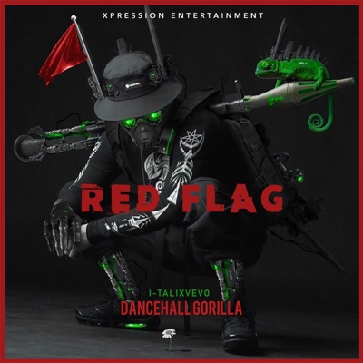 Red Flag (feat. Dancehall Gorilla) [Radio Edit] [Radio Edit] - Single