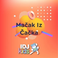 Mačak iz čačka