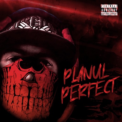 PLANUL PERFECT