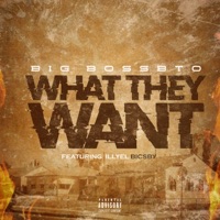 What They Want (feat. ILLYEL BICSBY) - Single - BigBossbto