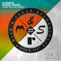 I Gave You the World (Extended Mix) - Single - Flashmob & Crystal Waters
