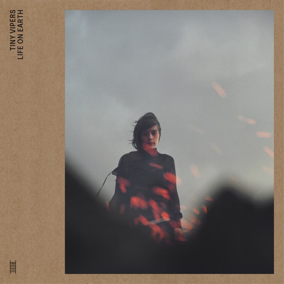 Cover artwork for Tiger Mountain