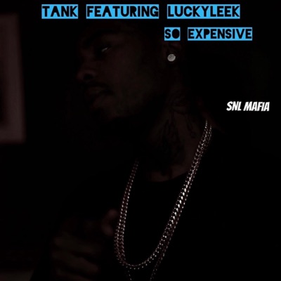 So Expensive (feat. LuckyLeek) - Single