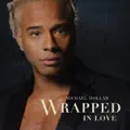 Wrapped in Love ”我爱你 "