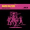 Baby Go - David Walters lyrics