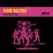 Baby Go (Radio Edit) - David Walters lyrics