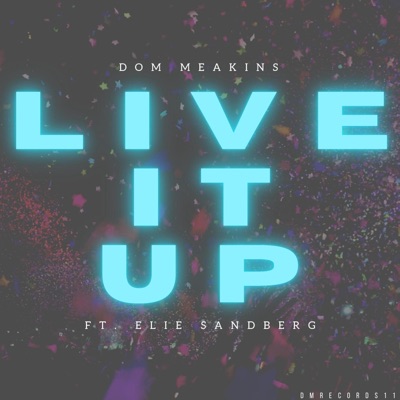 Live It Up (feat. Elie Sandberg) - Single