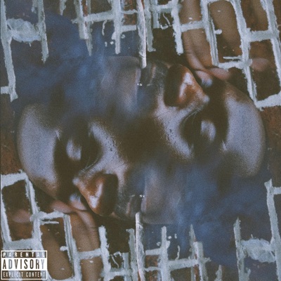 Just Face It - Single