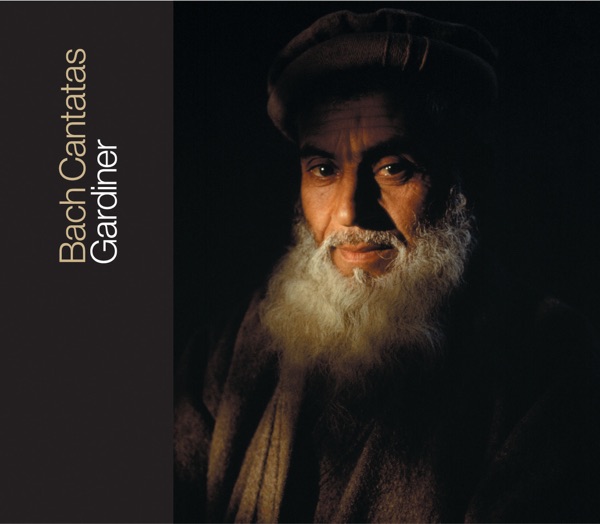 Bach: Cantatas, Vol. 1 - Bwv 7, 20, 30, 39, 75, 167
