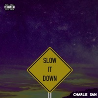 Slow it Down - Single - Charlie San