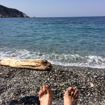 La Mucca del Destino (feat. Giancarlo Perna & Silvio Amoroso) - Single