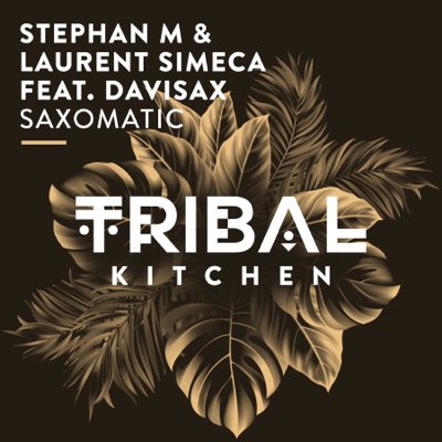 Saxomatic (Radio Edit) - Stephan M & Laurent Simeca Feat. DaviSax | Shazam