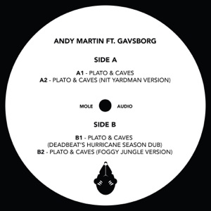 Plato & Caves (feat. Gavsborg) - EP