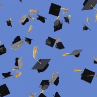 Shayef Odami - Single - Sine