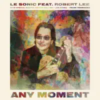 Any Moment (feat. Robert Lee) — Le Sonic